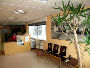 Oficinas de Servizos Econmicos do Concello